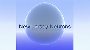 New Jersey Neurons logo