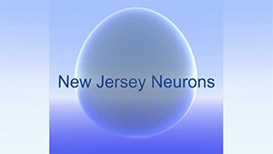 New Jersey Neurons logo